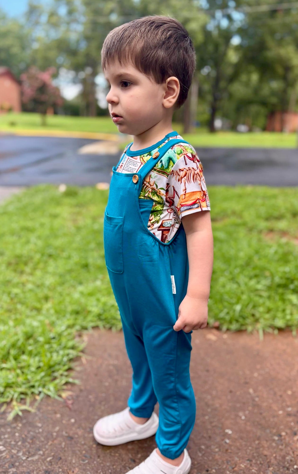 Solid Blue Overalls (overalls only)