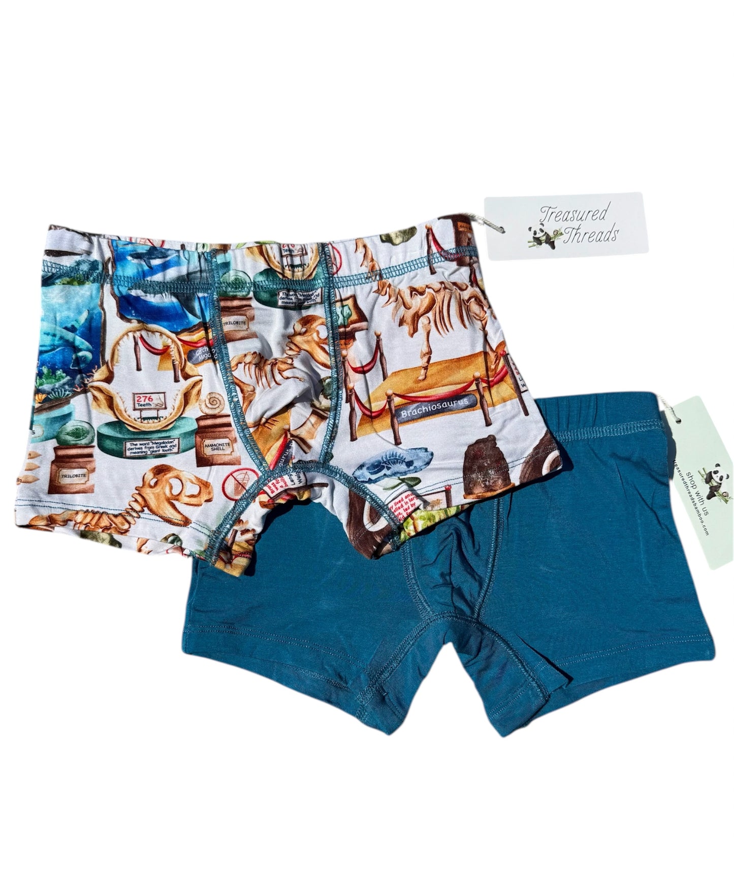 “Dinos at the Museum” Boxers - Two Pack