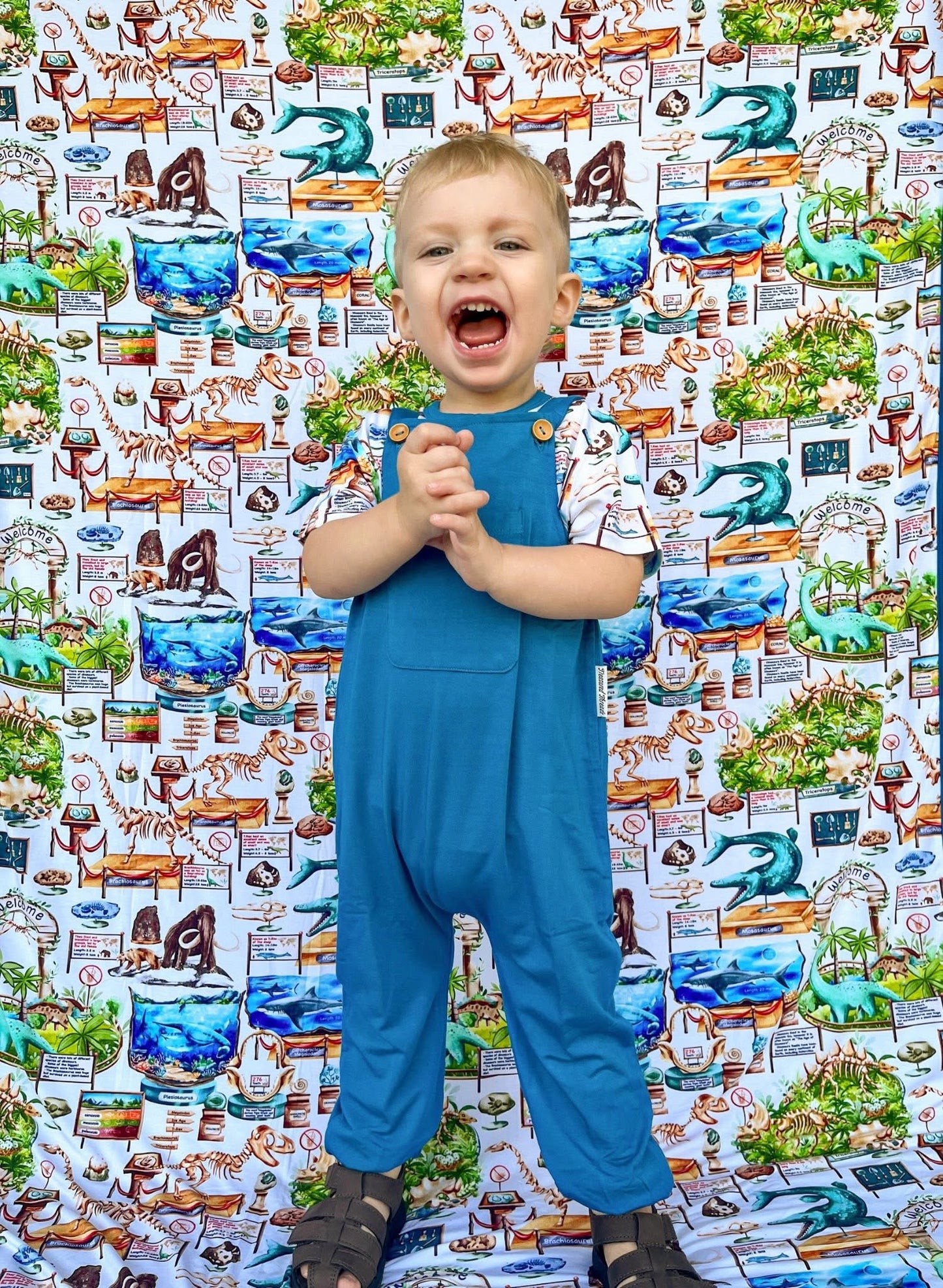 Solid Blue Overalls (overalls only)