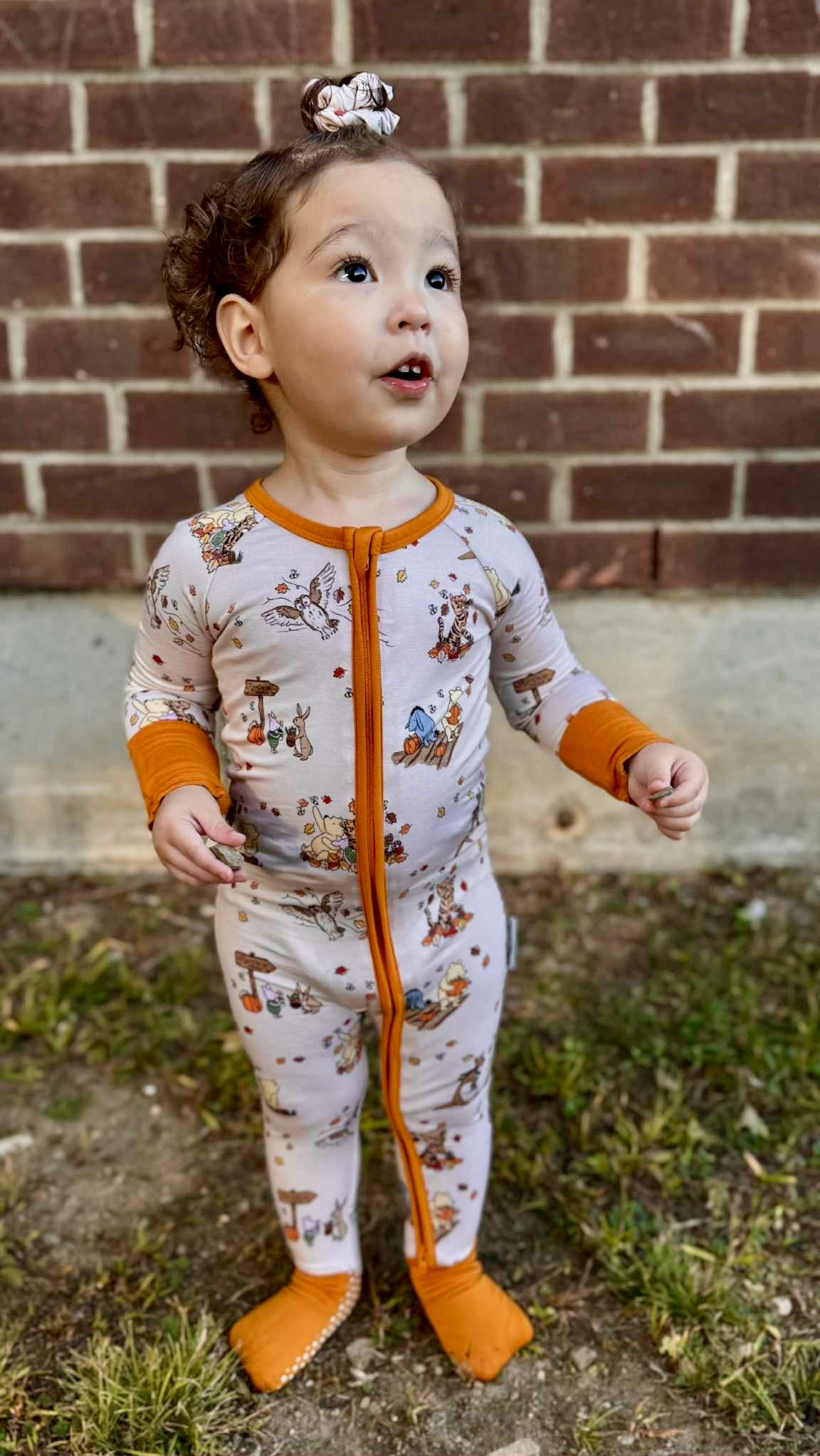 “Fallin’ For Pooh” Zippy