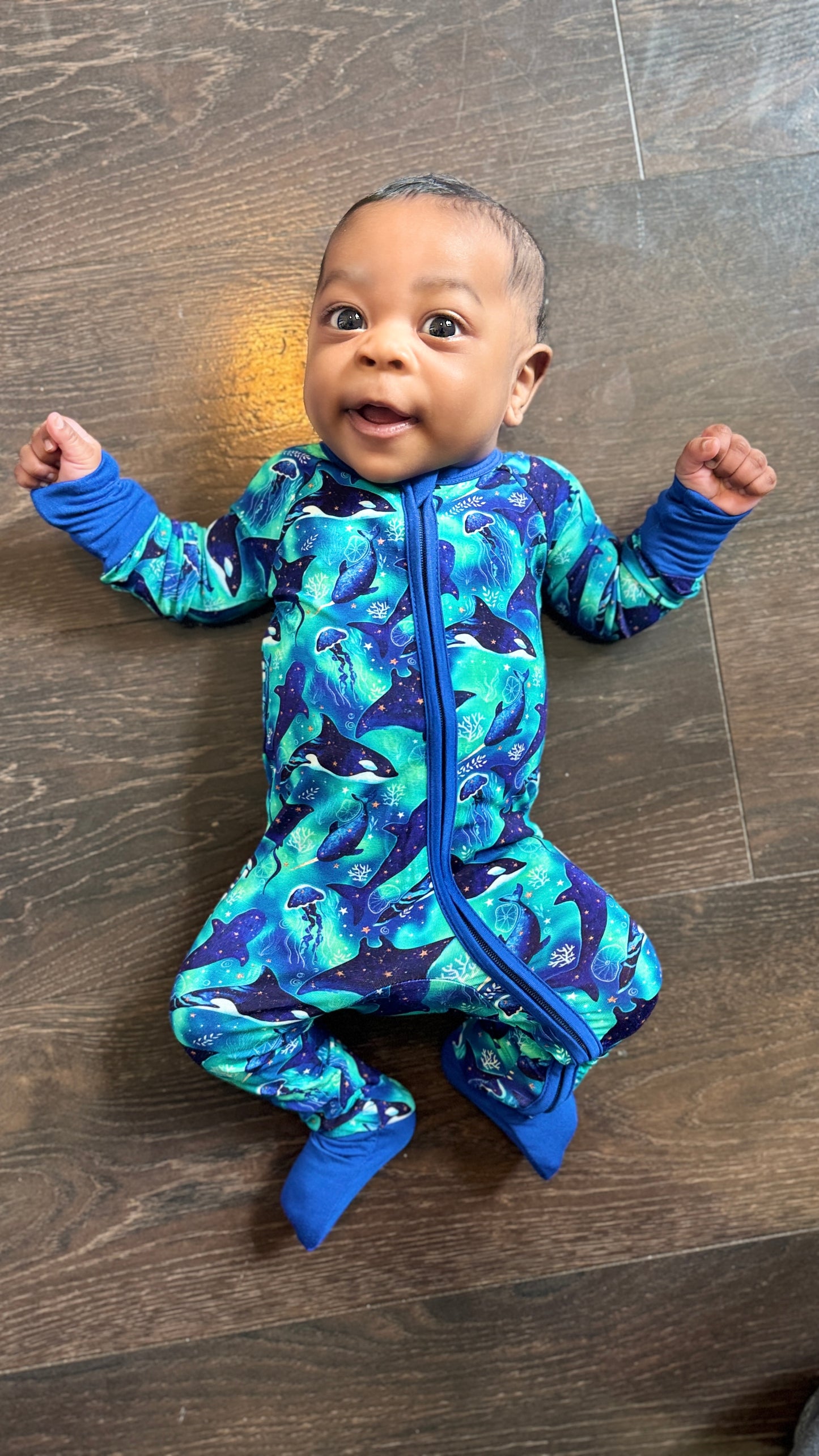 Starlit Seas Zippy