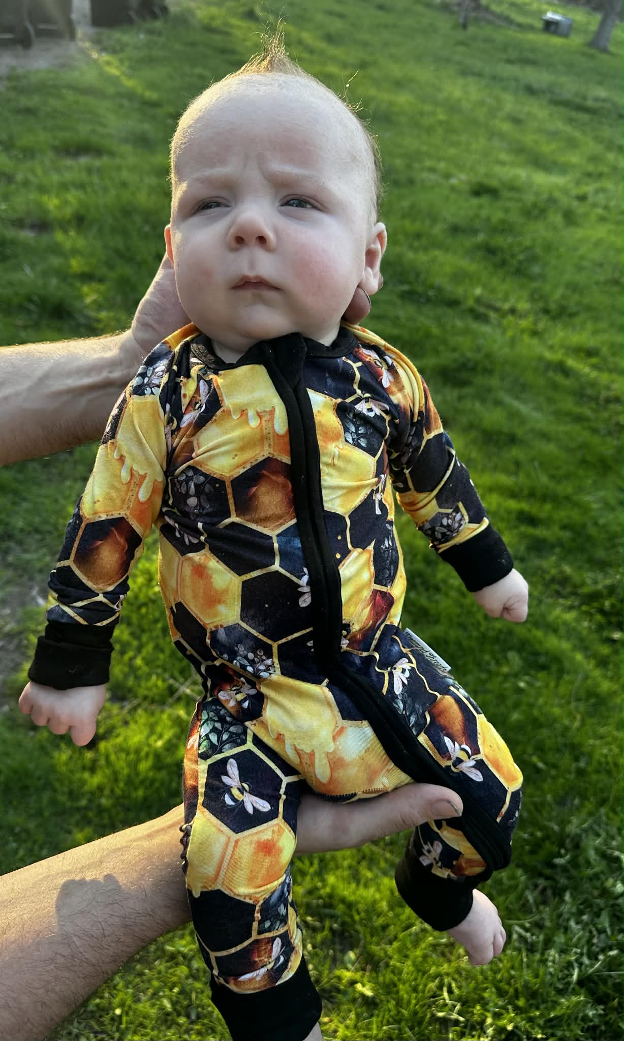 "Bee Happy" Zippy