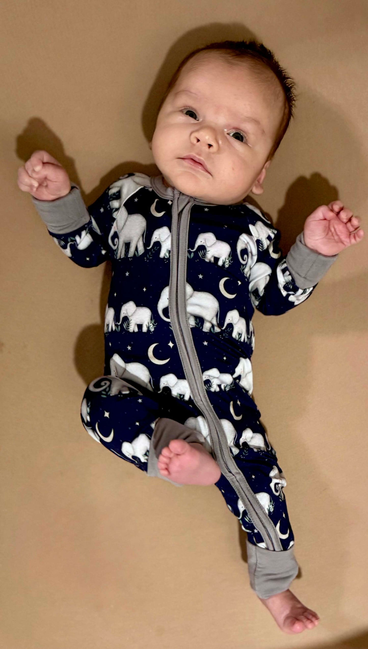 “Elephants” Zippy