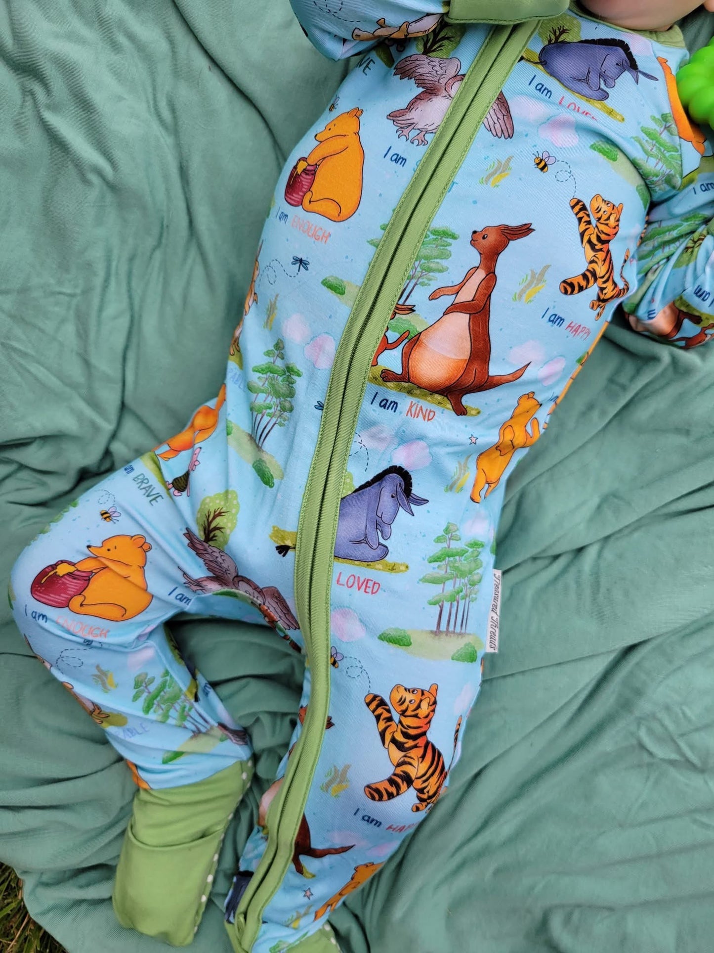 Pooh’s Path of Positivity Zippy