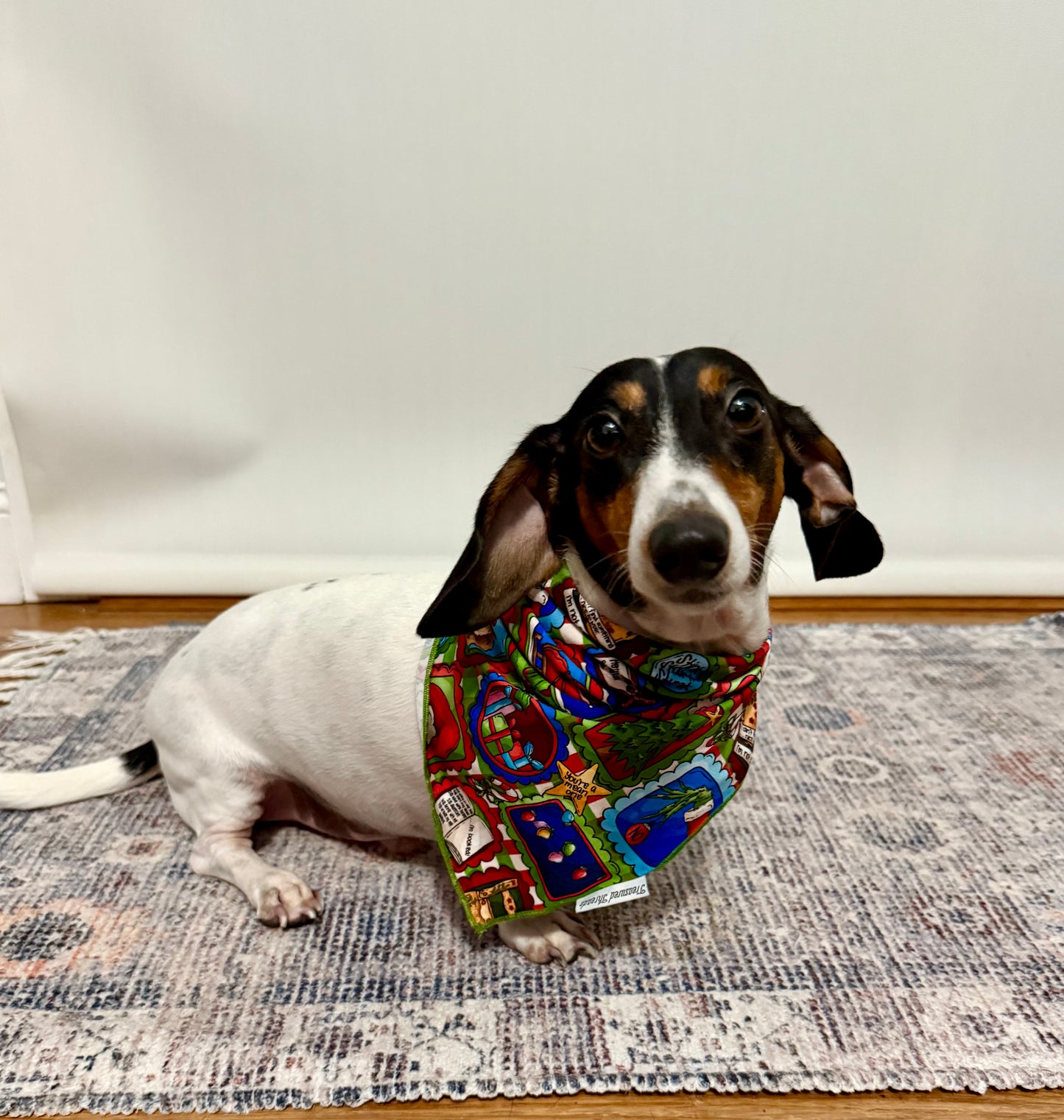 “Mean One” Pet Bandana