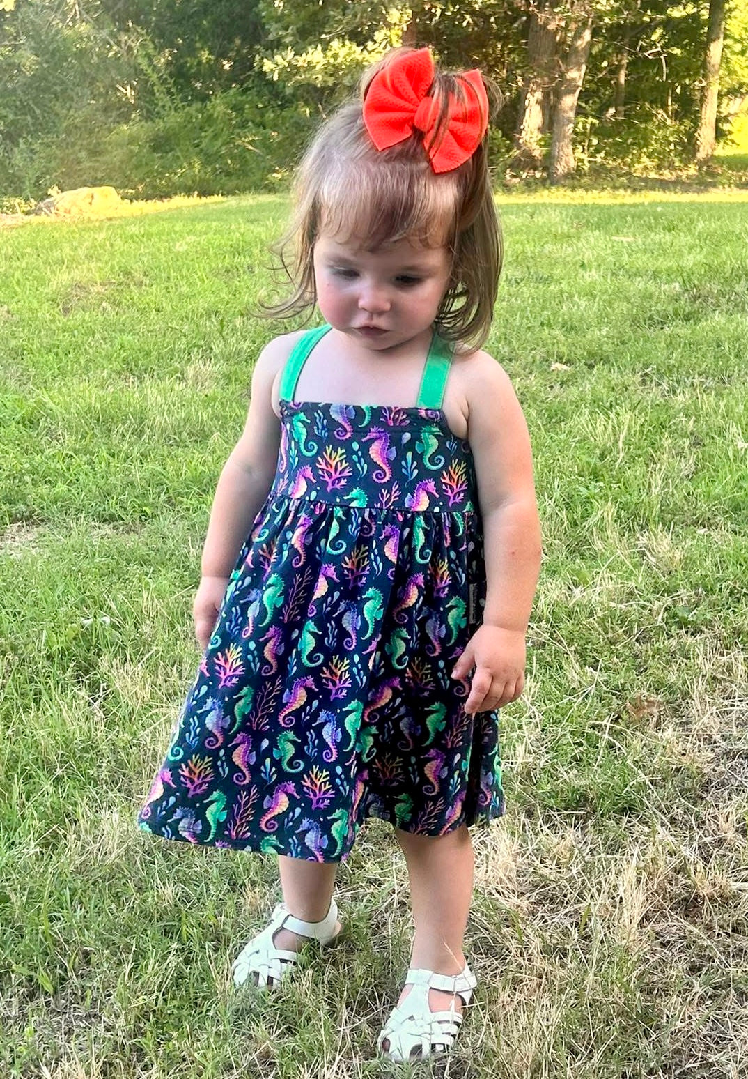 “Seahorse Lagoon” Twirl