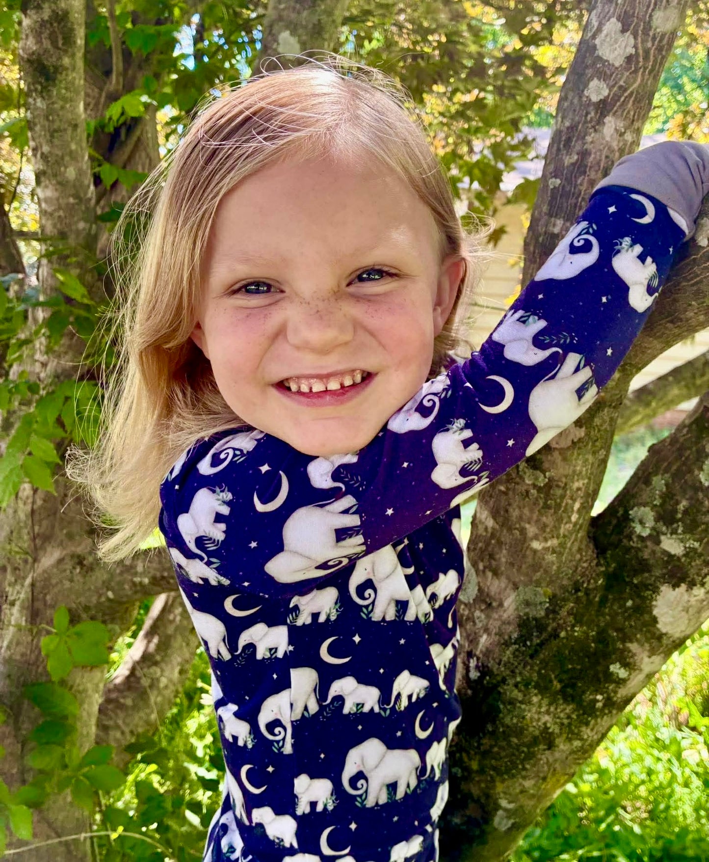 "Elephants" Two-Piece Pajamas Long Sleeved and Pants