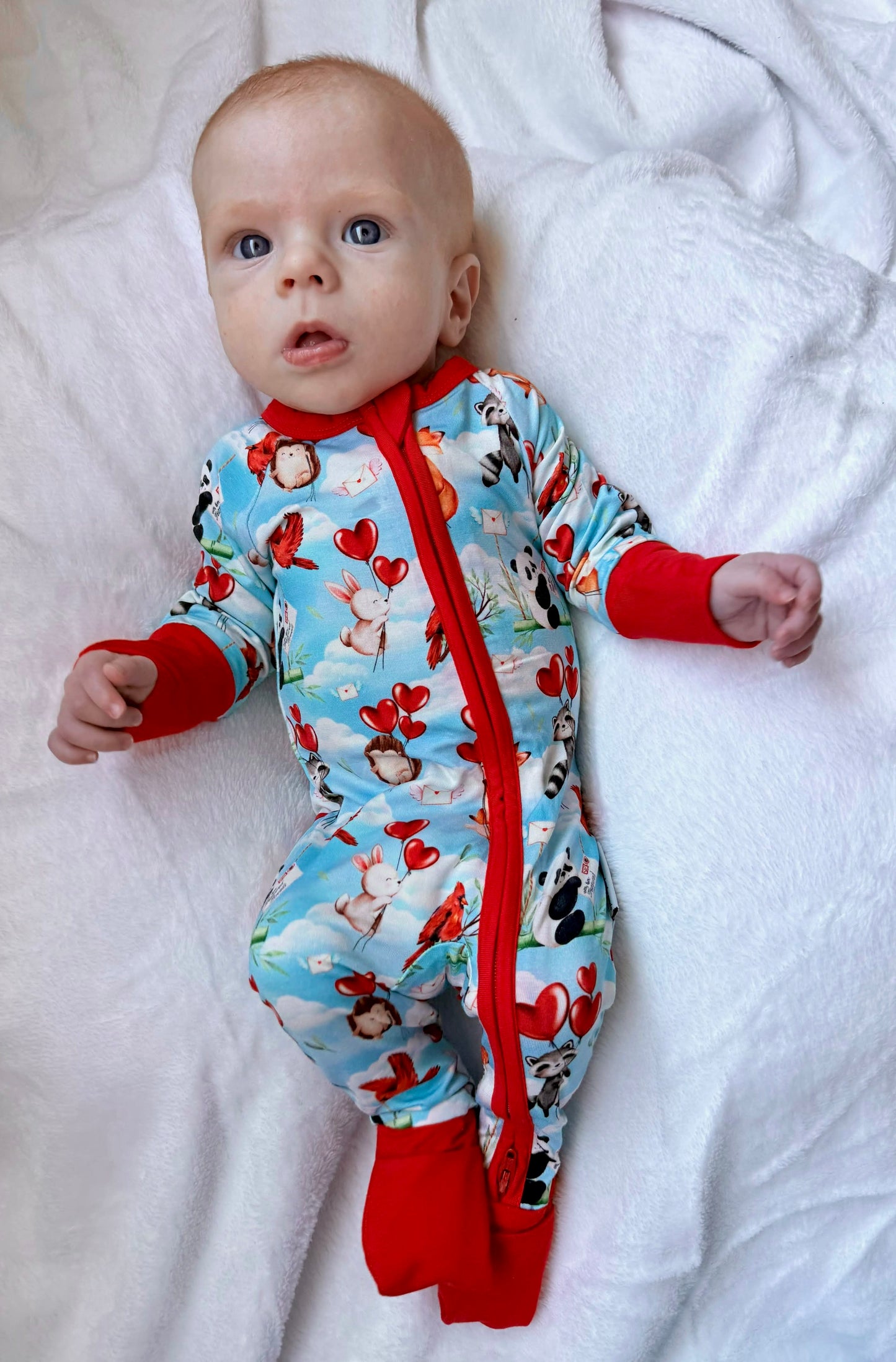 “Love takes flight” Zippy