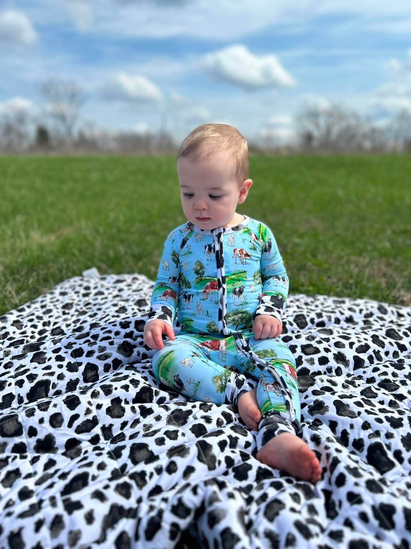 “Cows” Zippy