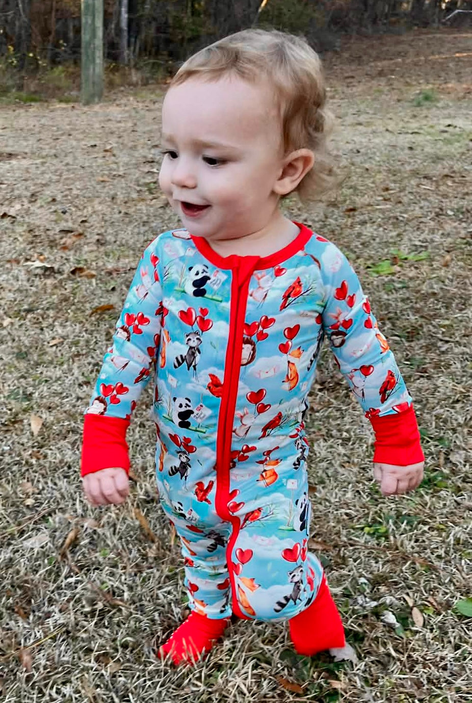 “Love takes flight” Zippy