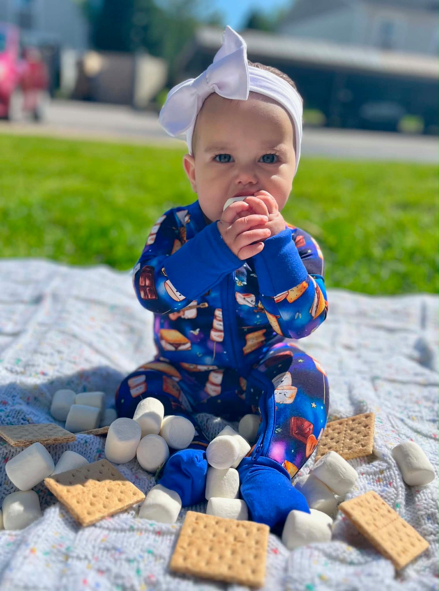 “S’more Summer Nights” Zippy