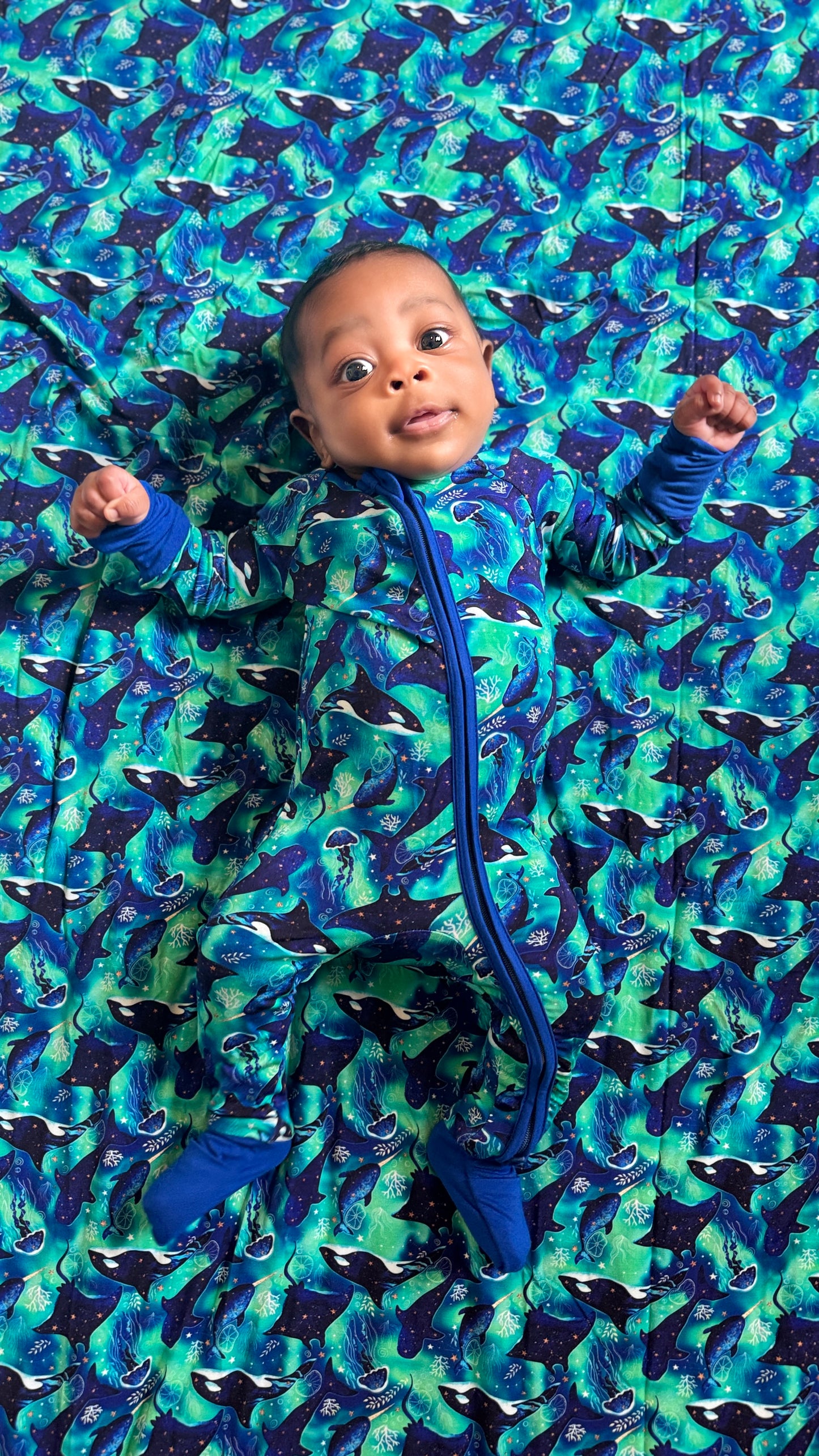 Starlit Seas Zippy