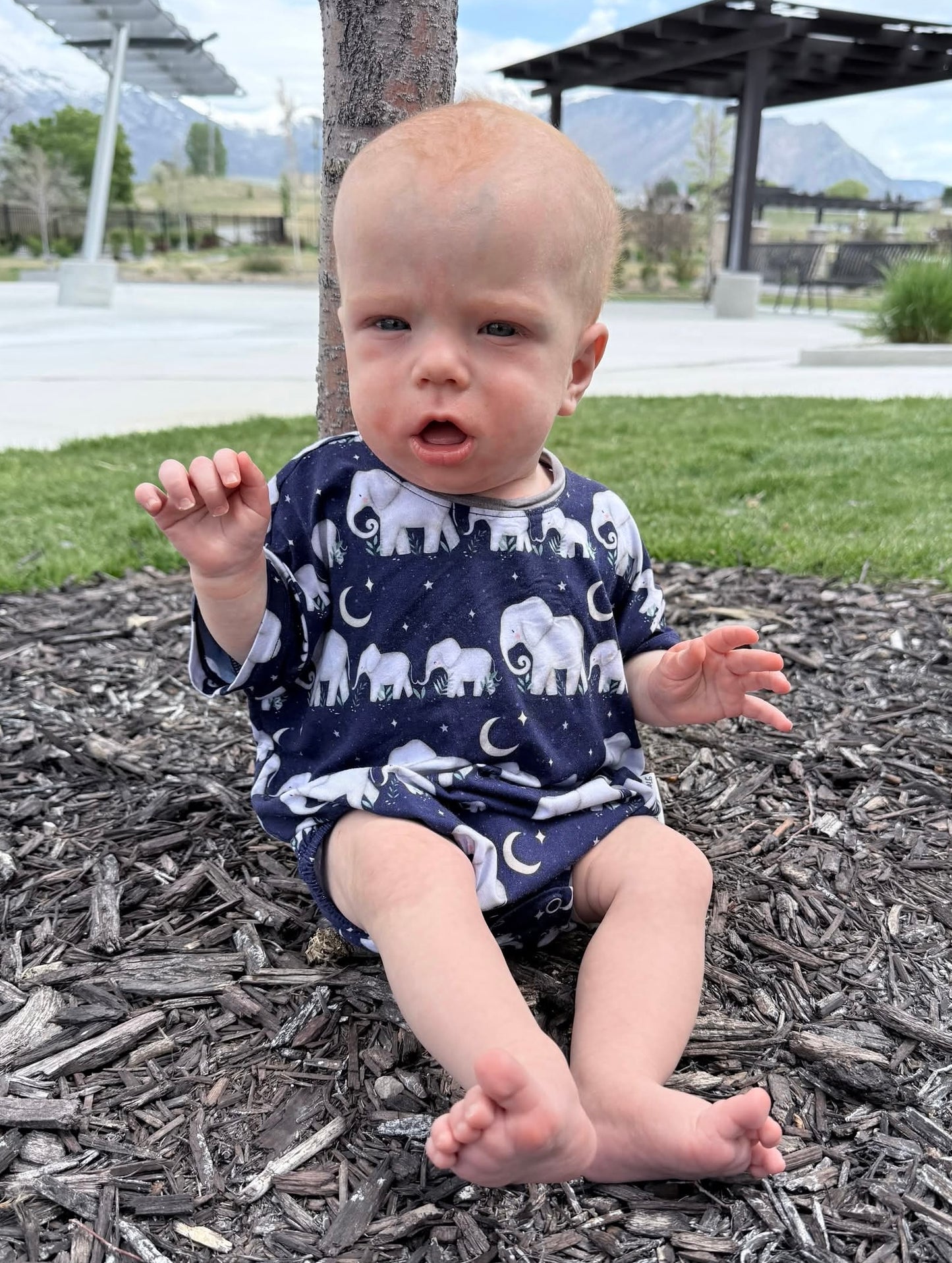 Elephant Bubble Romper