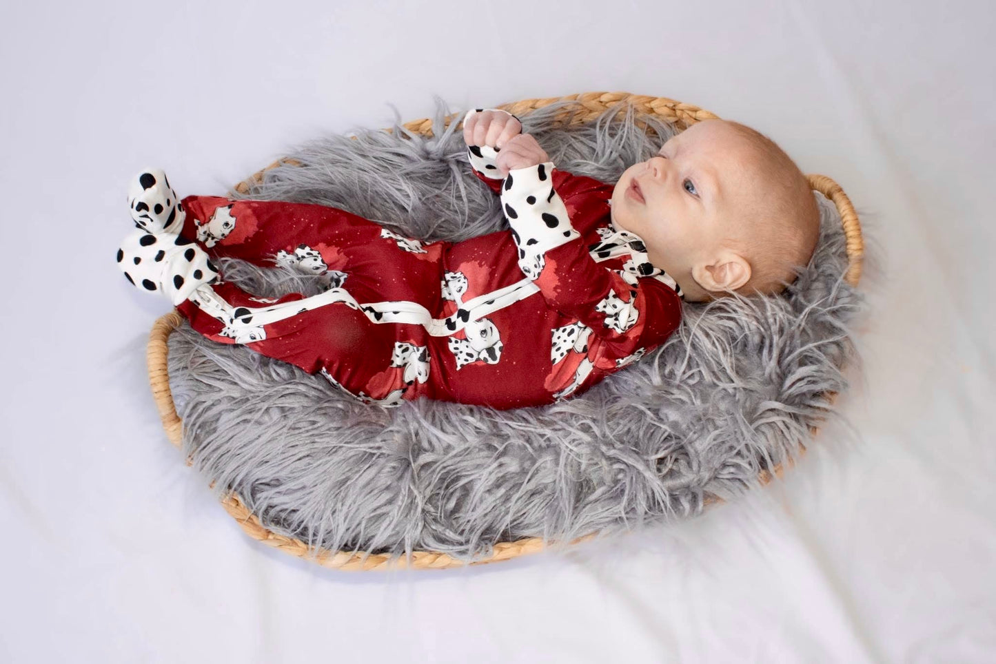 “Darling Dalmatians” Zippy