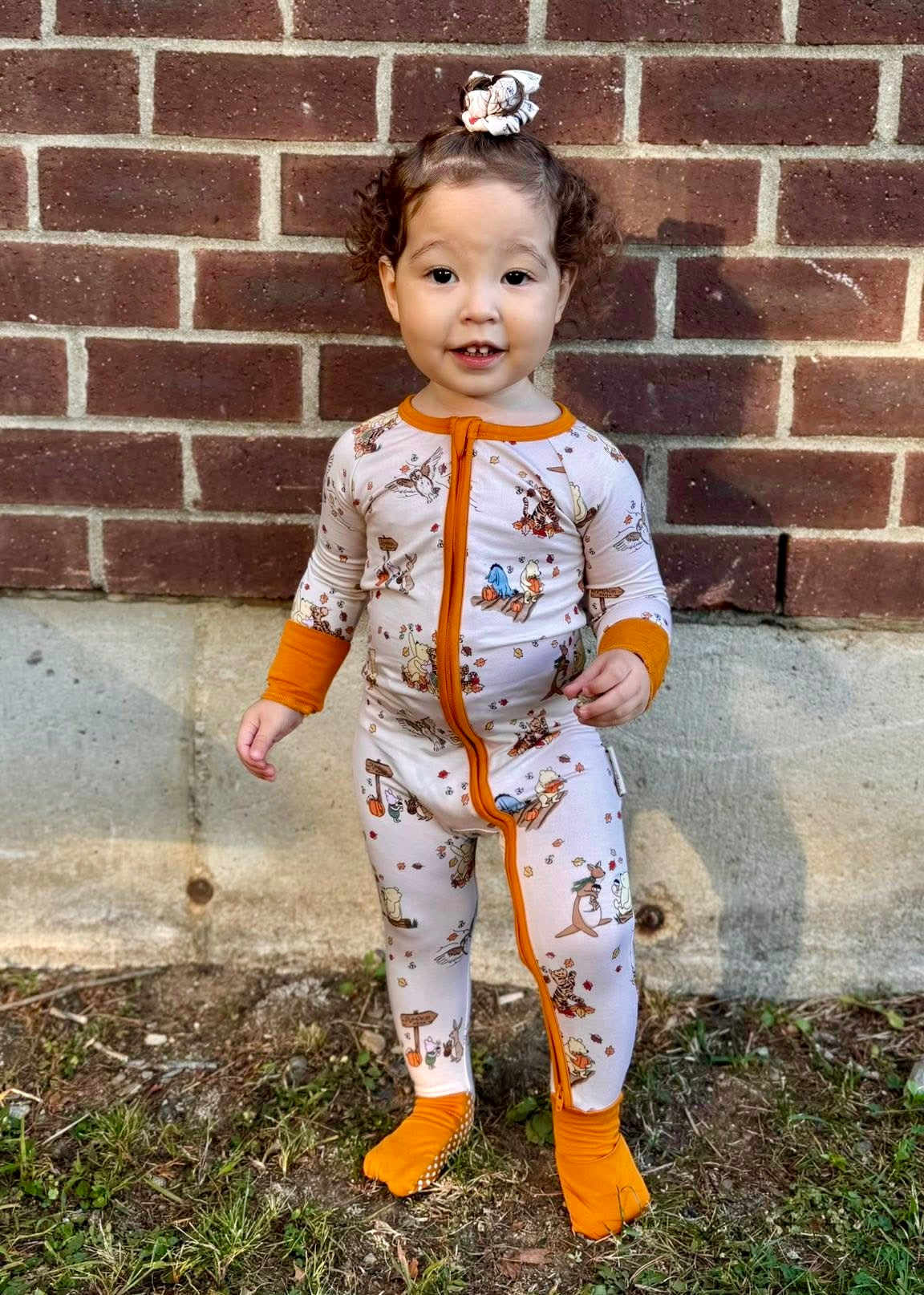 “Fallin’ For Pooh” Zippy