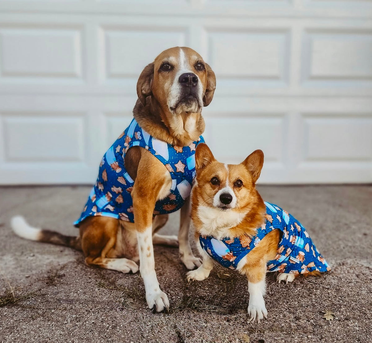 Milk and Cookies Pet Shirt