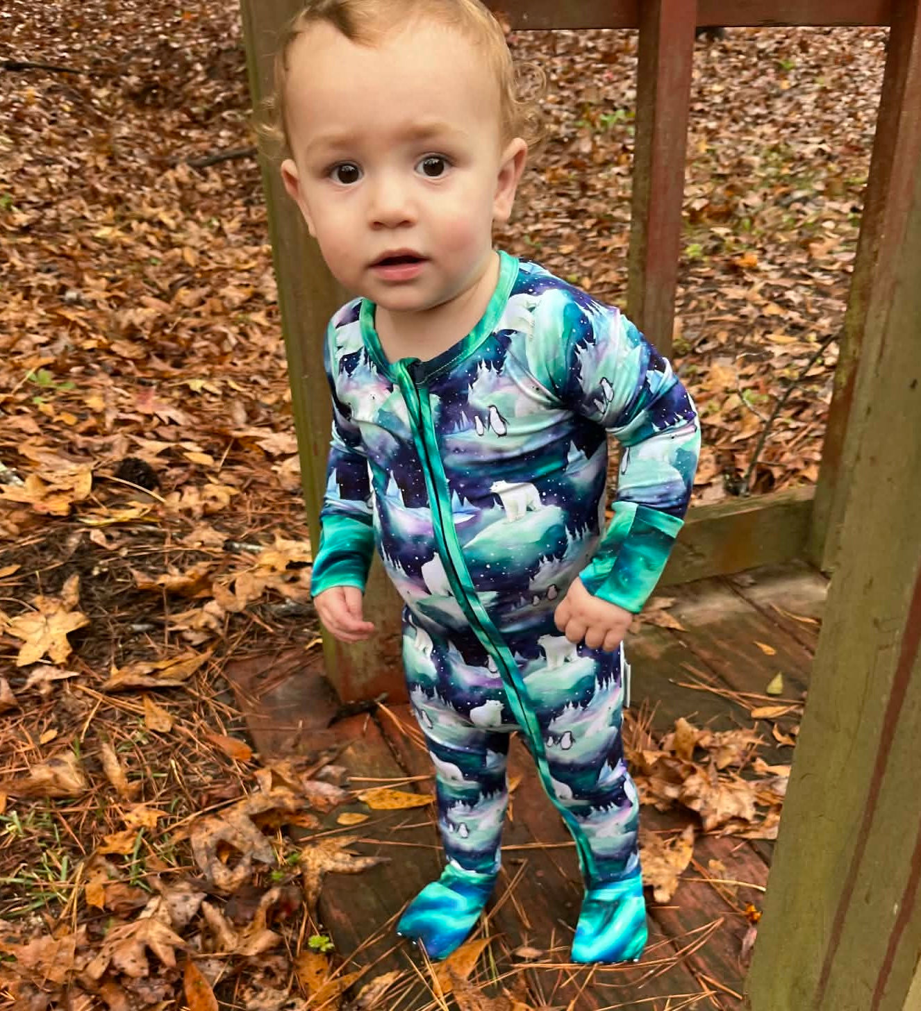 Aurora Bearealis Zippy
