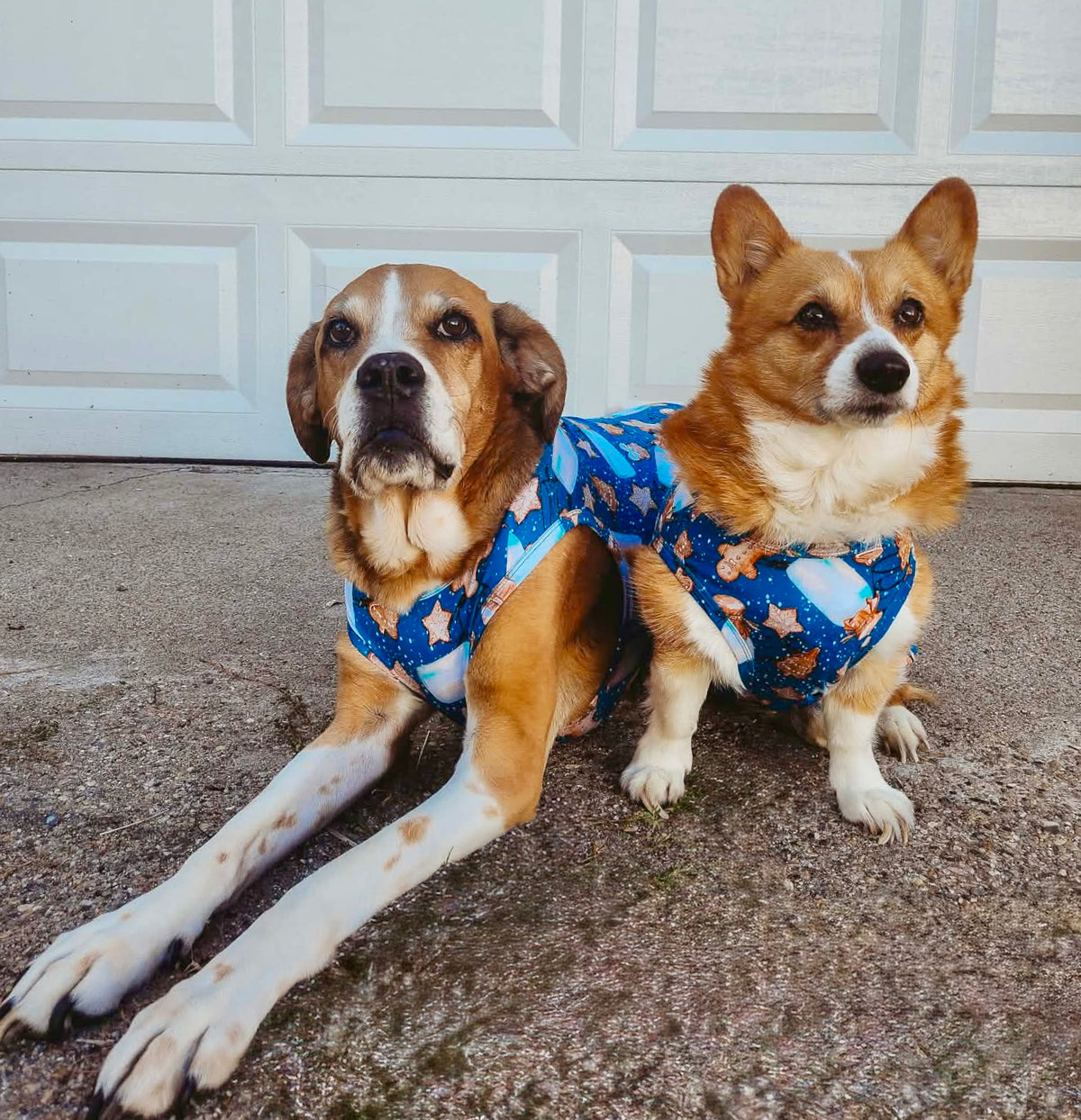 Milk and Cookies Pet Shirt