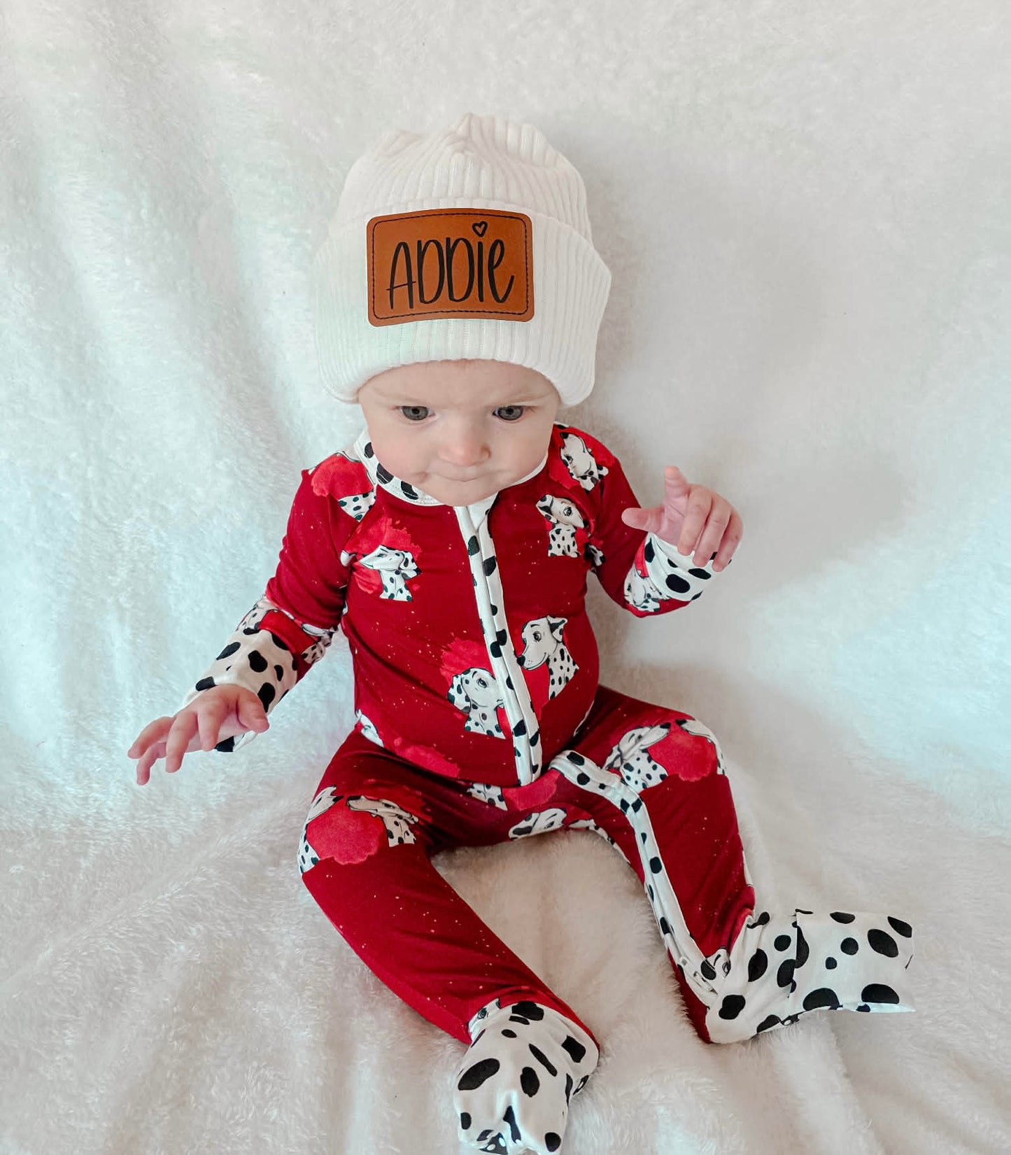 “Darling Dalmatians” Zippy