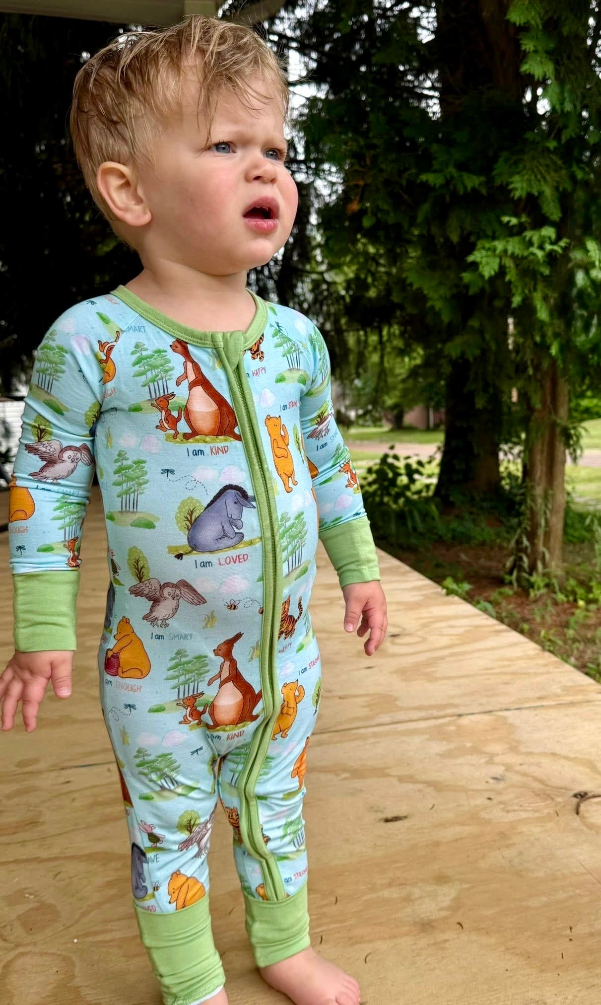 Pooh’s Path of Positivity Zippy