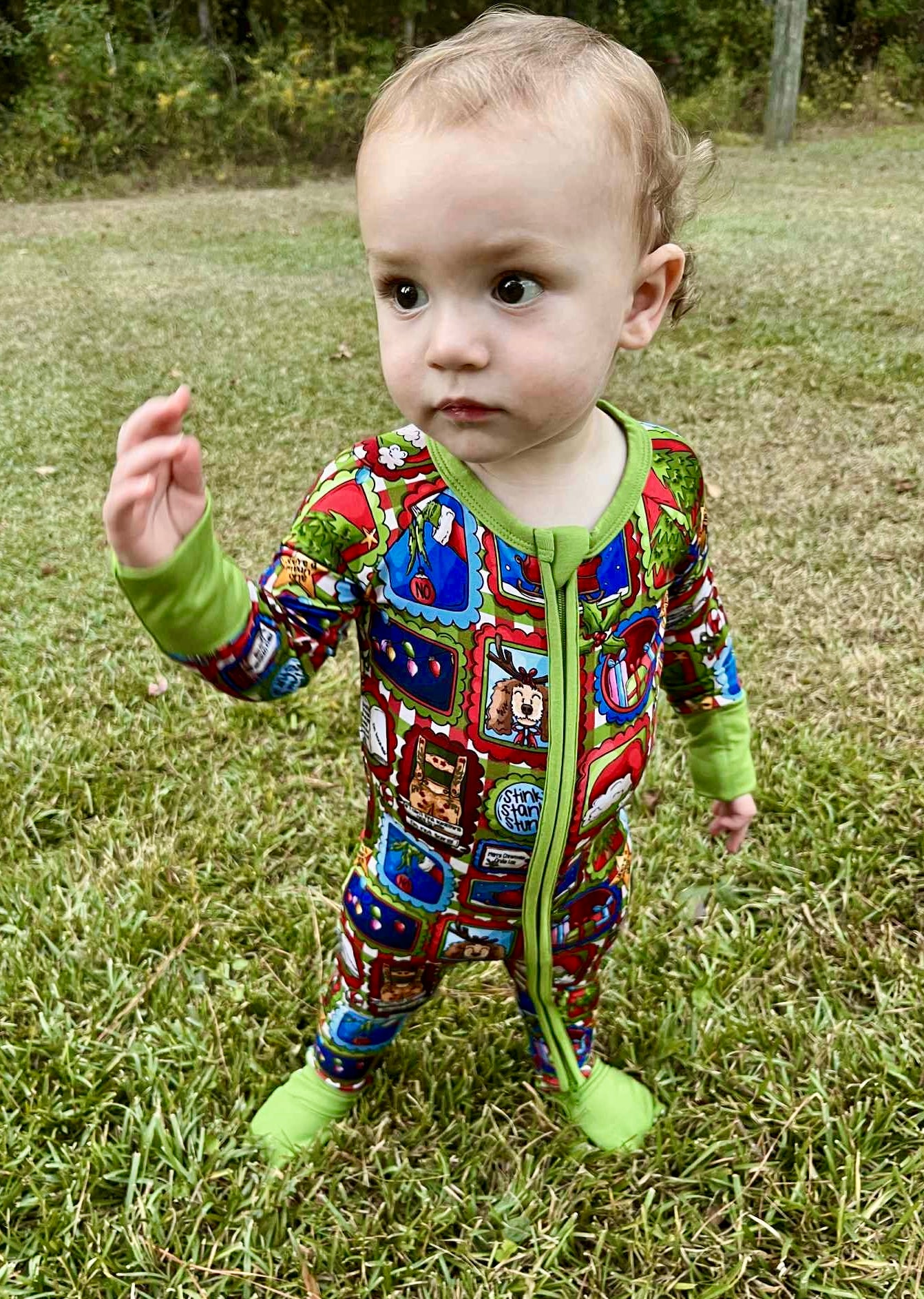 “Mean One” Zippy