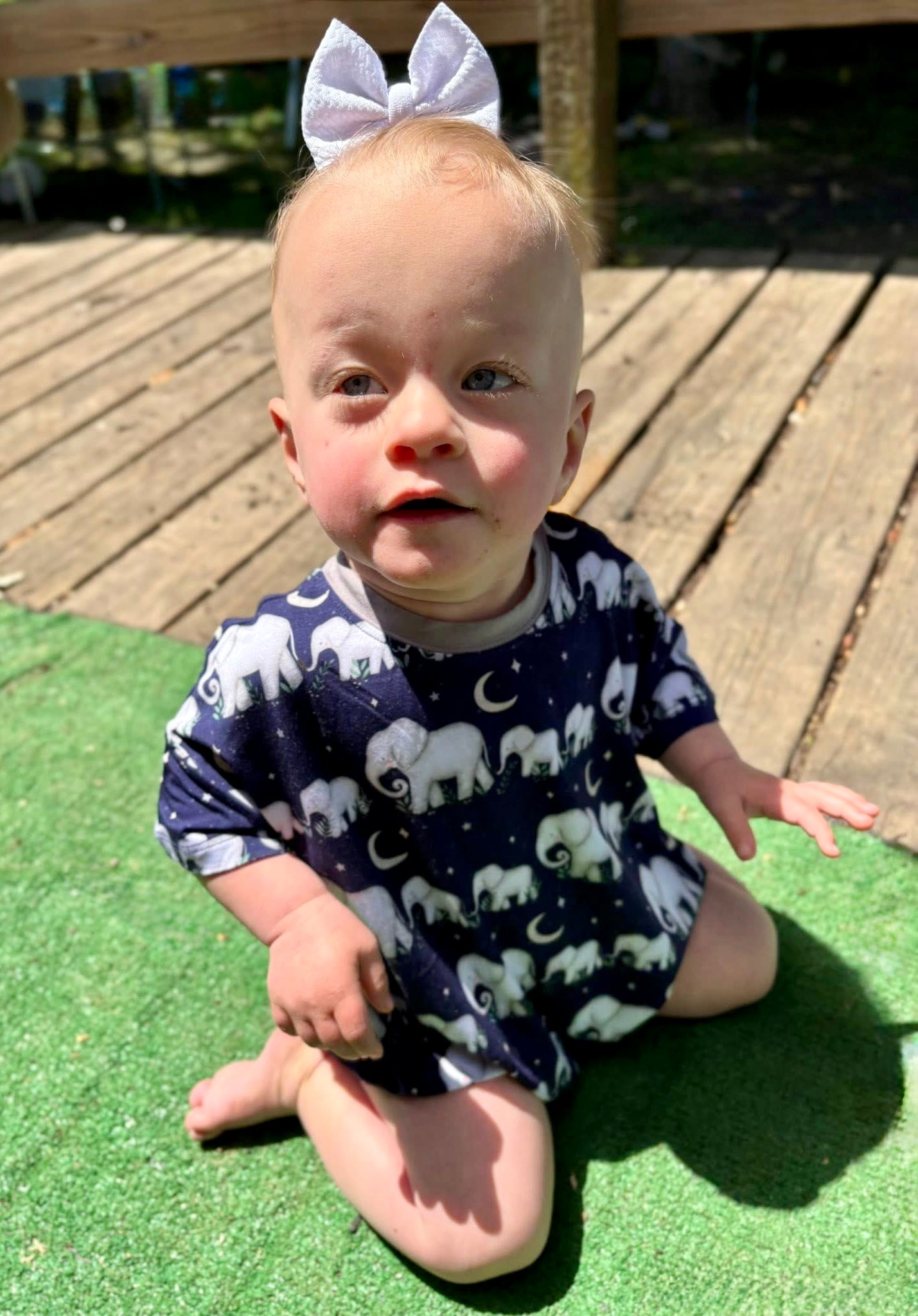 Elephant Bubble Romper