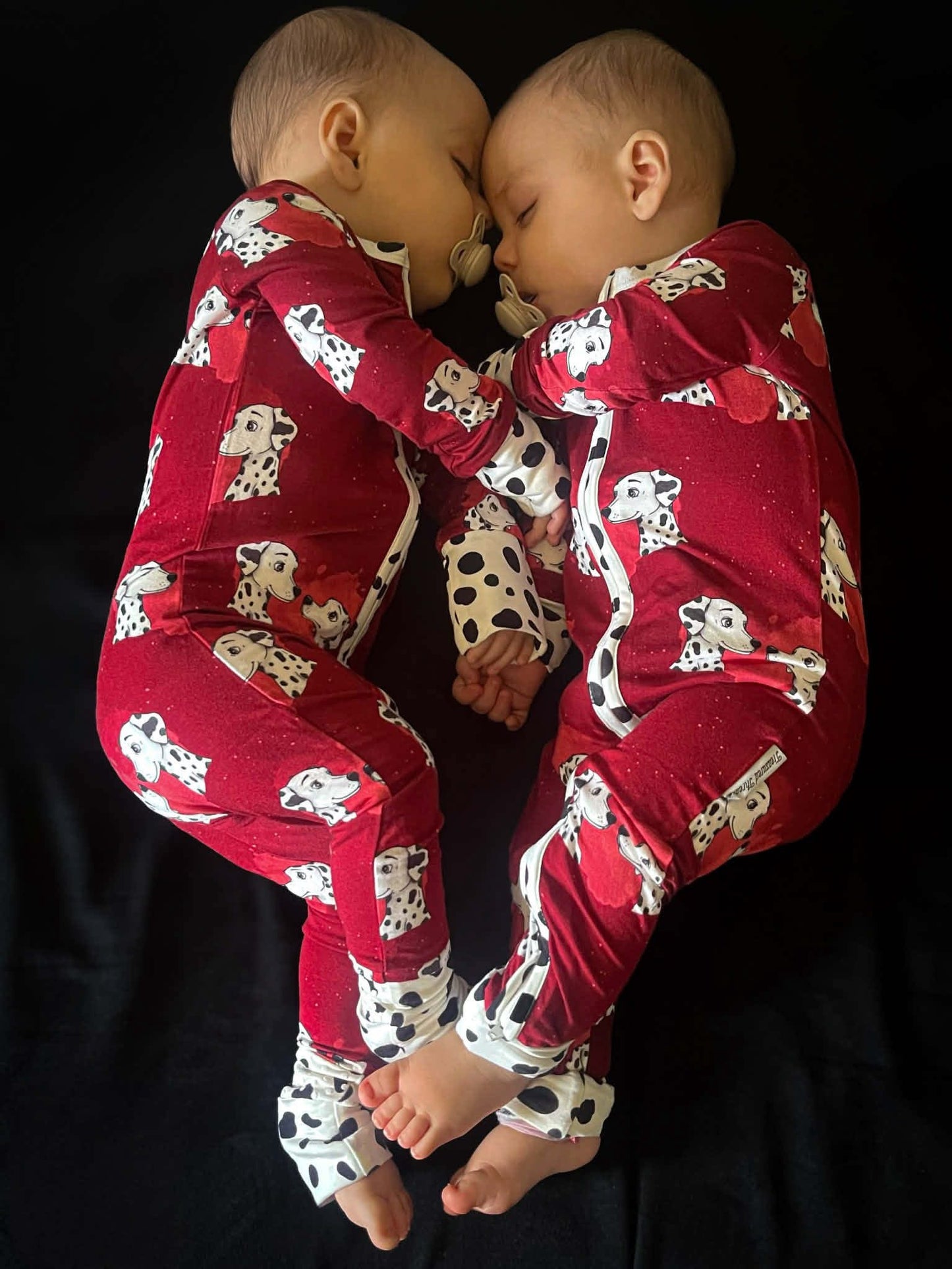 “Darling Dalmatians” Zippy