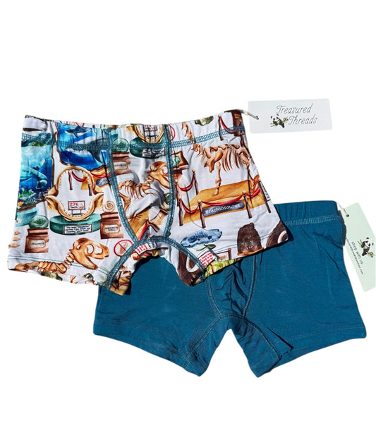 “Dinos at the Museum” Boxers - Two Pack