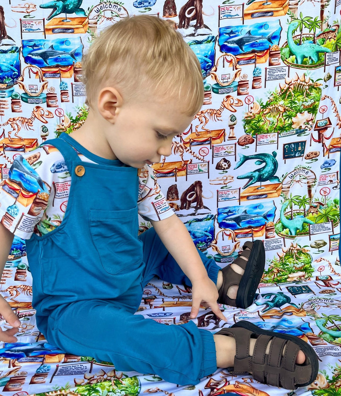 Solid Blue Overalls (overalls only)