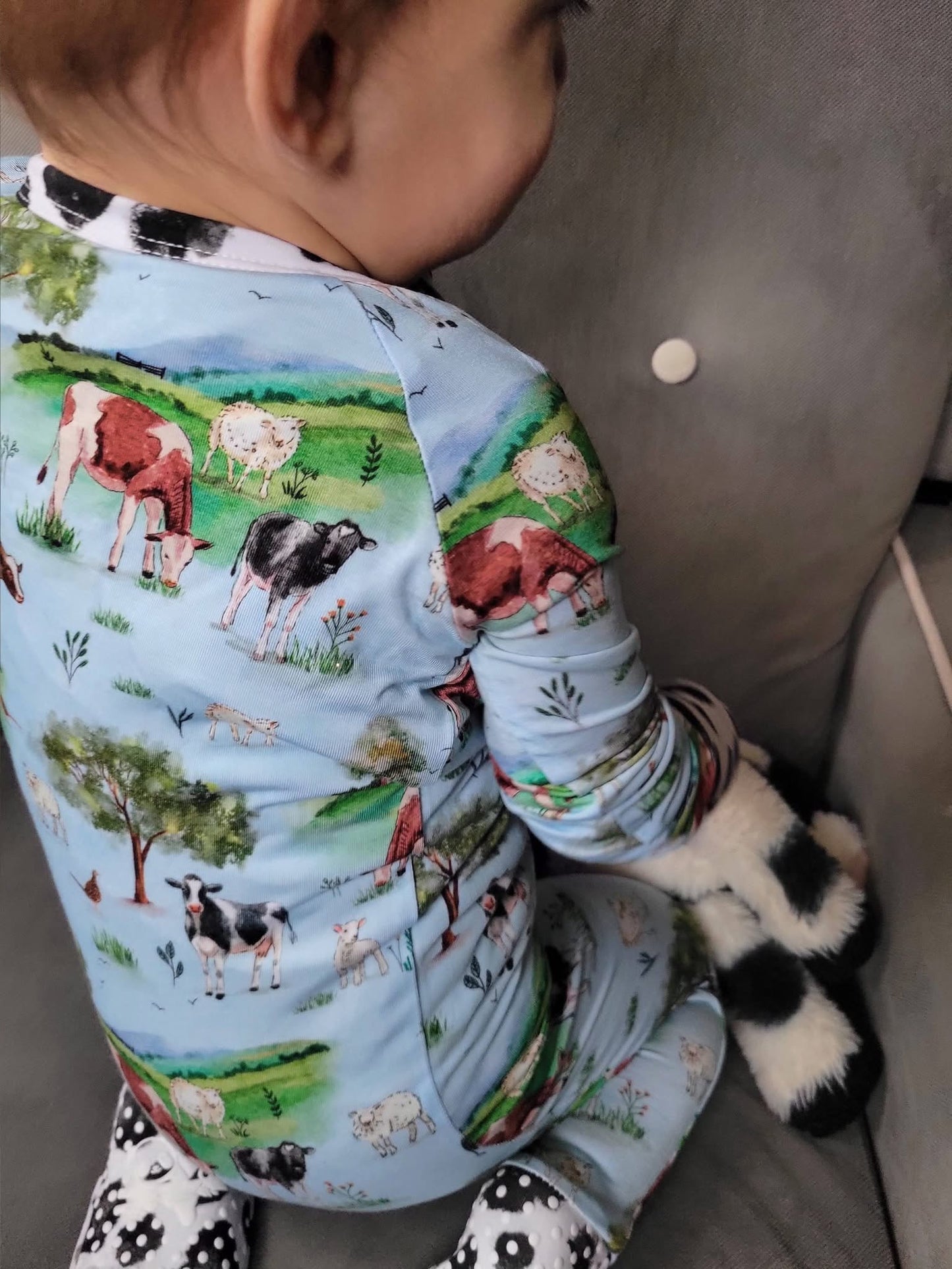 “Cows” Zippy