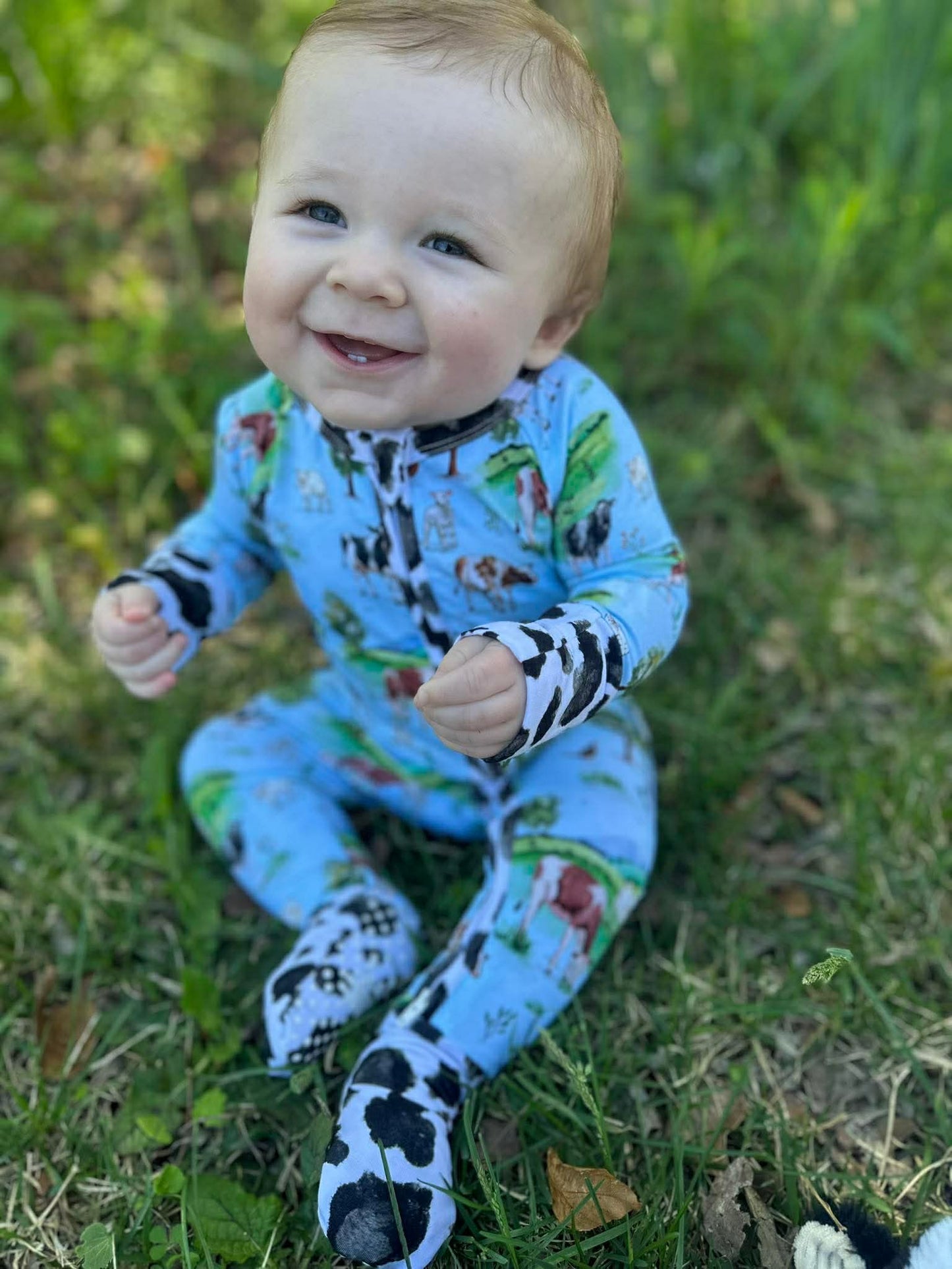 “Cows” Zippy