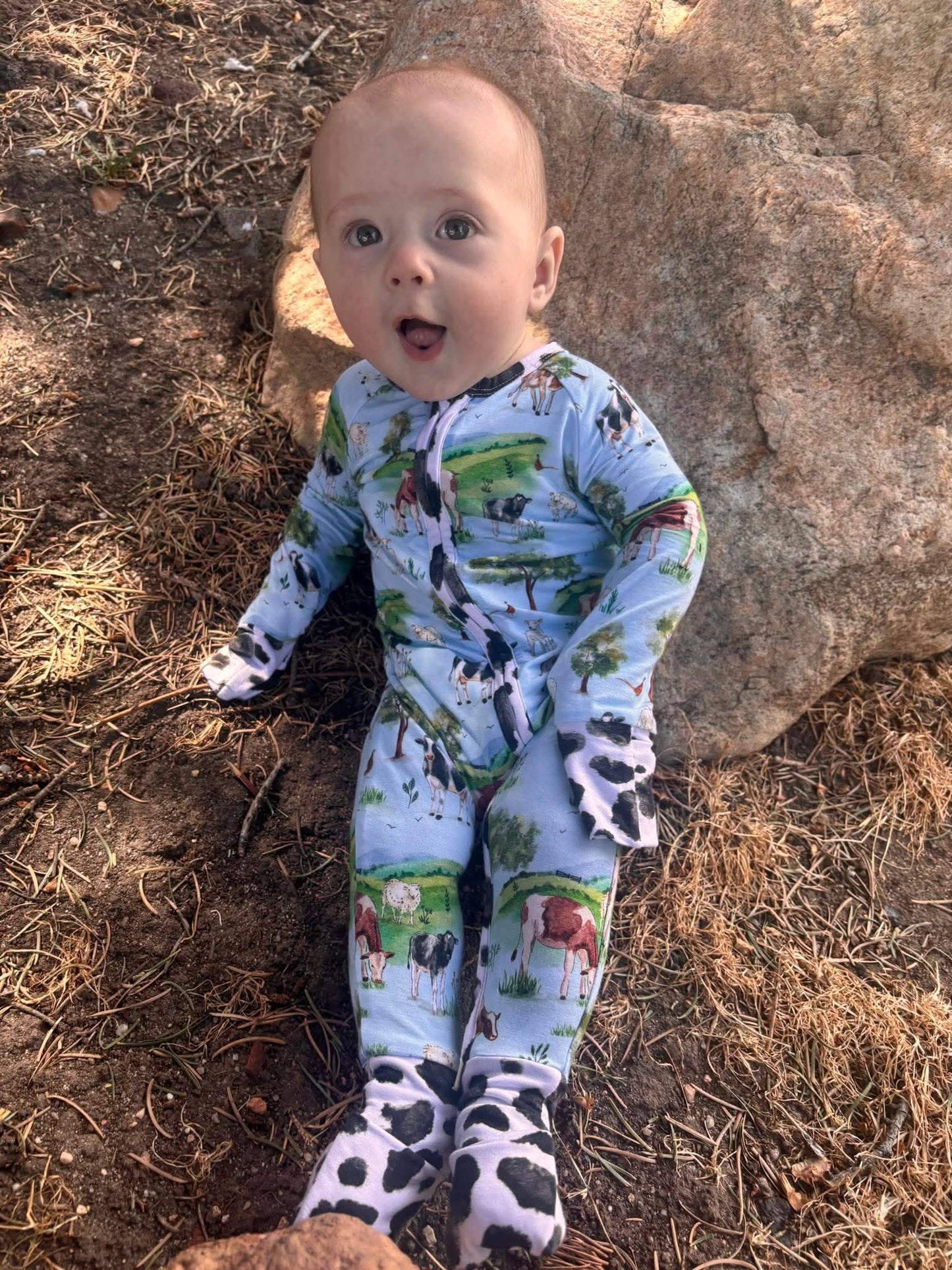 “Cows” Zippy