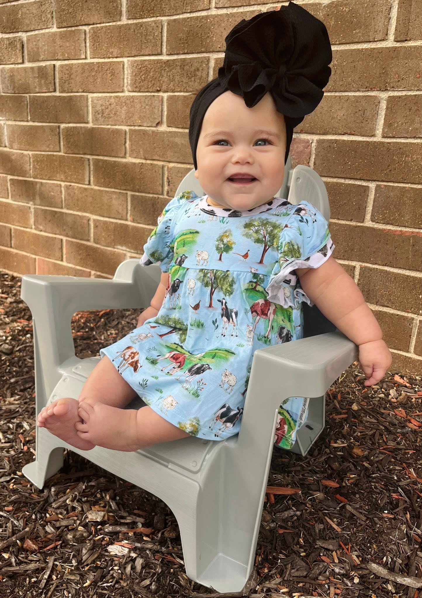Cows Flutter Sleeve Shirt with Ruffled Bloomers