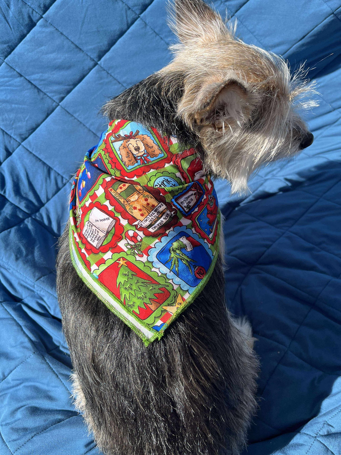 “Mean One” Pet Bandana