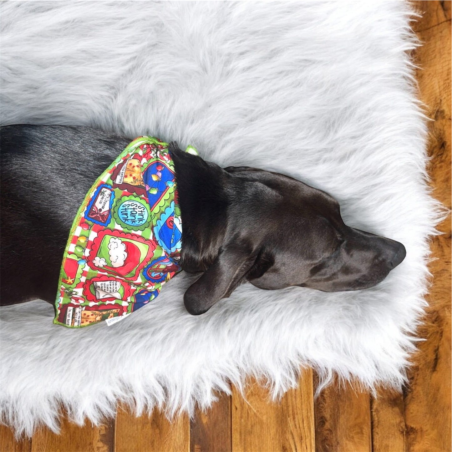 “Mean One” Pet Bandana