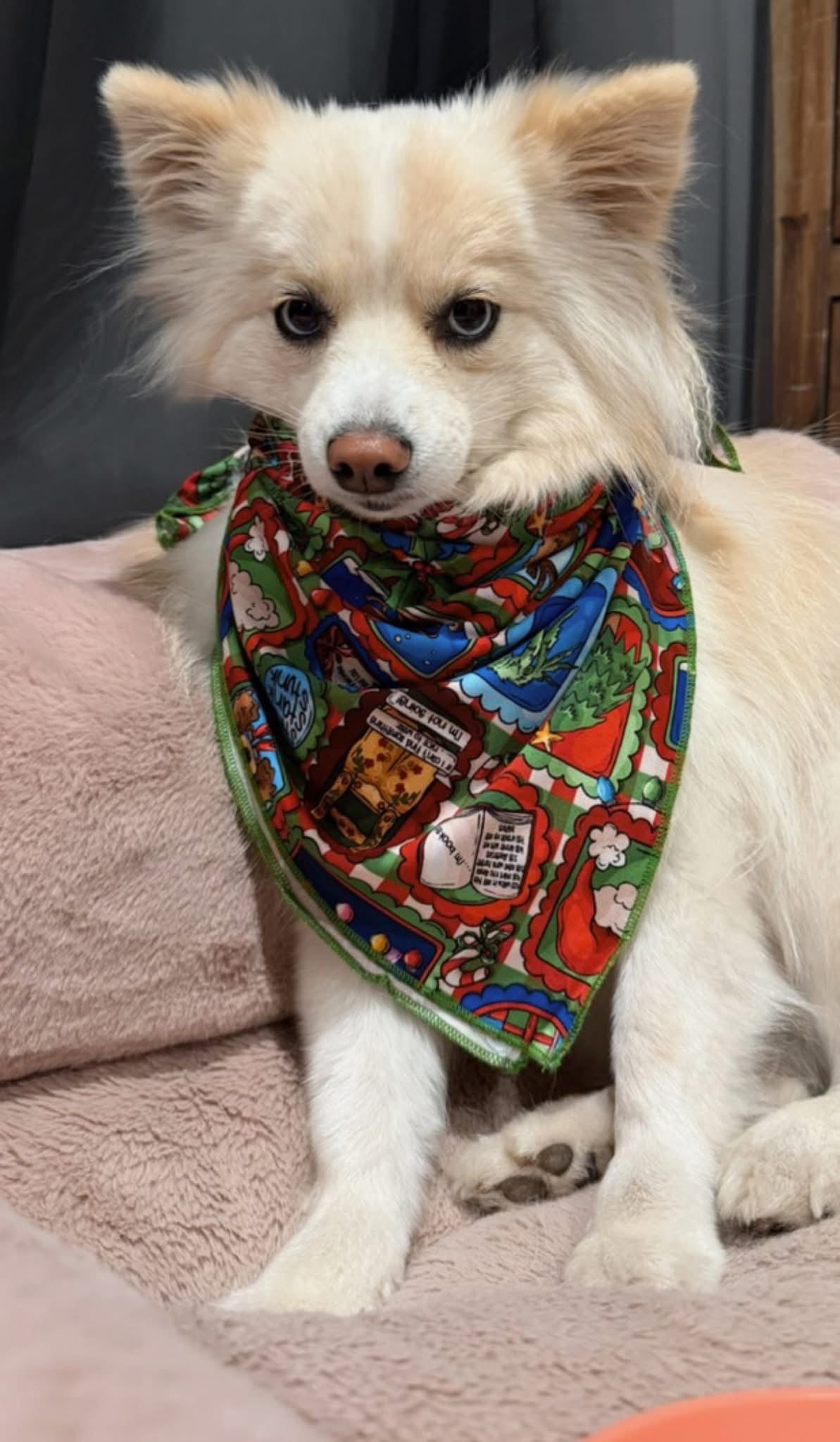 “Mean One” Pet Bandana